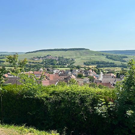 Вилла Chez Brigitte Chatillon-sur-Marne Экстерьер фото