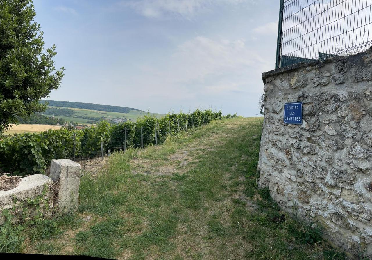 Вилла Chez Brigitte Chatillon-sur-Marne Экстерьер фото