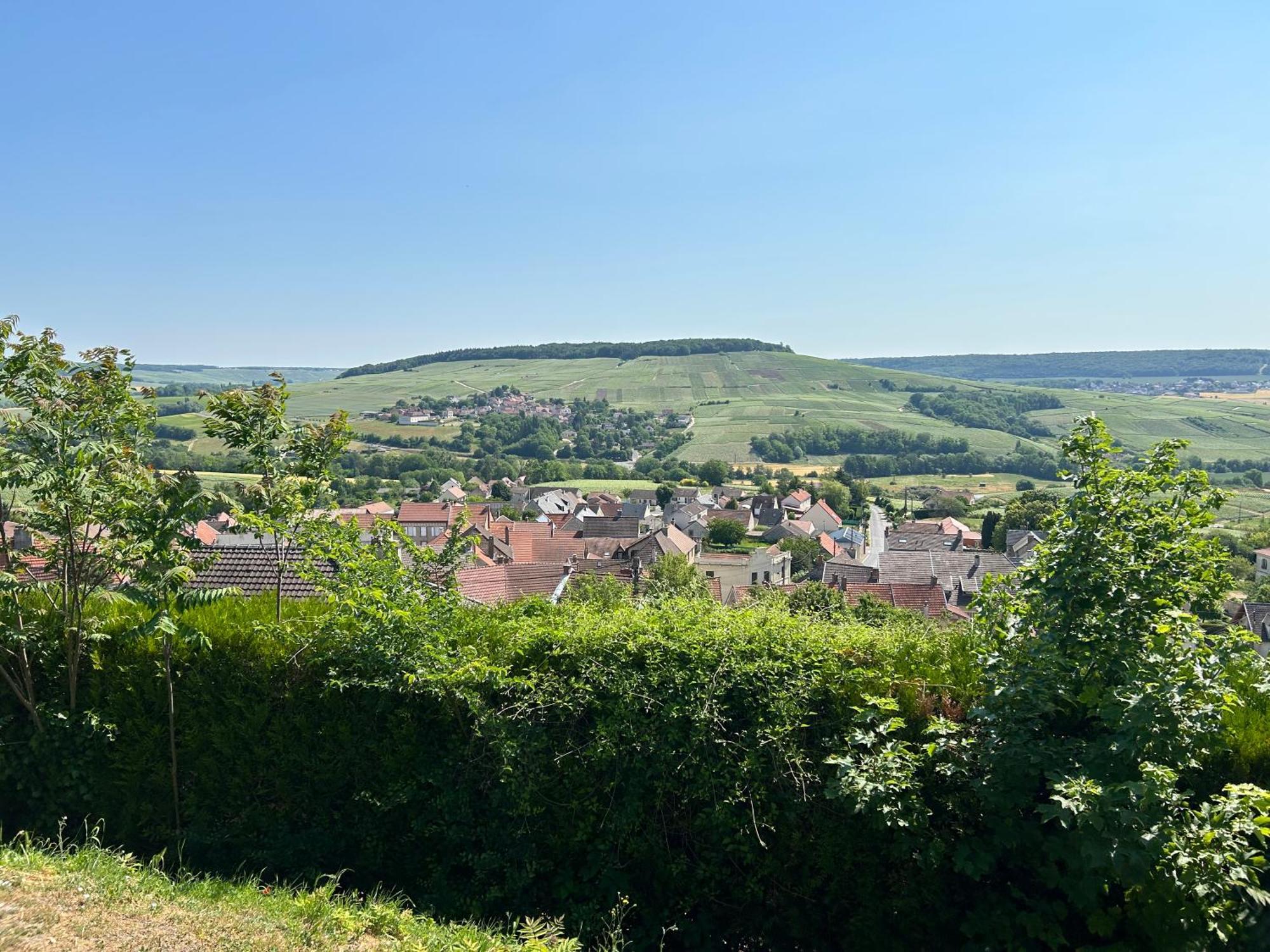 Вилла Chez Brigitte Chatillon-sur-Marne Экстерьер фото